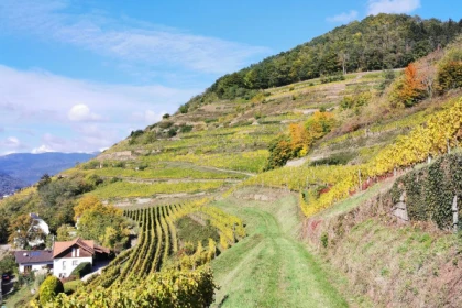 Abenteuertour - Exploregion