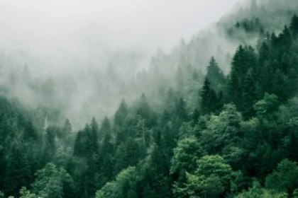 Waldbaden - Exploregion