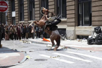 Bâle : Escape Game Outdoor The Walking Dead - app.name