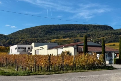 Weihnachtskeller – Elsässische Bio-Weine und festliche Köstlichkeiten - Exploregion