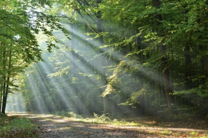 DIGITALE SCHNITZELJAGD ZU FUSS ODER MIT DEM FAHRRAD - Exploregion