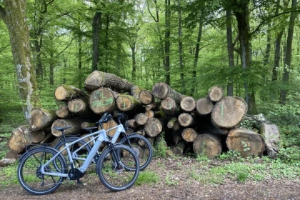 City E-Bike Luxemburg: Perfekt für Naturliebhaber - Exploregion