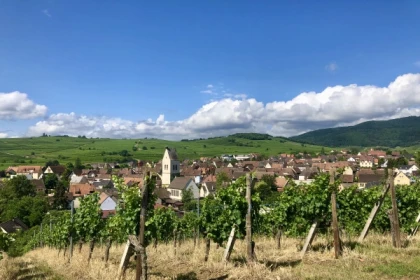 Entdeckungsreise durch die Weinberge: Von der Seele eines Weinguts - Exploregion