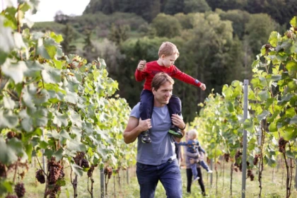 Erkunden Sie die charmante Mosel-Tagestour River & Wine - Exploregion