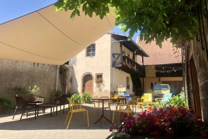 Die Sinne spielen verrückt:Entdecken Sie den Wein durch Ihre Geruchs- und Geschmackssinn - Exploregion