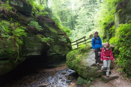 Luxemburgs Natur und Schlösser: 8-stündige Tagestour - Exploregion