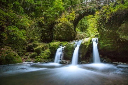 Luxemburgs Natur und Schlösser: 8-stündige Tagestour - Exploregion