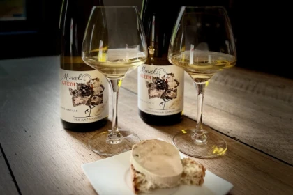 Trauen Sie sich: Foie Gras & Bio-Weine aus dem Elsass ! - Exploregion