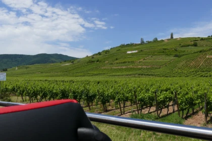 Ab Straßburg: "Best Of Alsace“ Tagestour - Exploregion