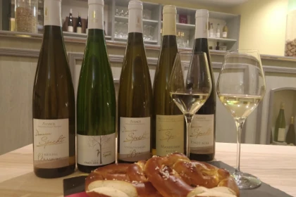 Traditioneller Besuch & Weinprobe - 5 Rebsorten - Exploregion