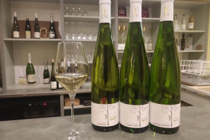 Traditioneller Besuch & Weinprobe - 5 Rebsorten - Exploregion