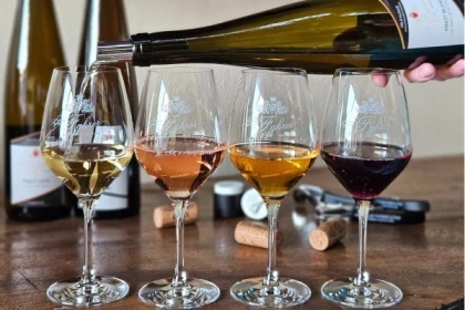 43 Geführte Tour durch die Weinberge im Elsass - Exploregion