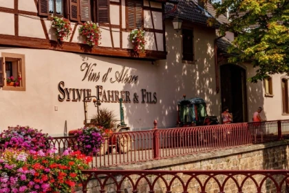 43 Geführte Tour durch die Weinberge im Elsass - Exploregion