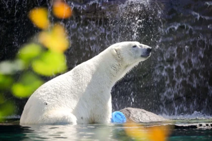 Eintrittskarte- Zoo von Mulhouse - Exploregion