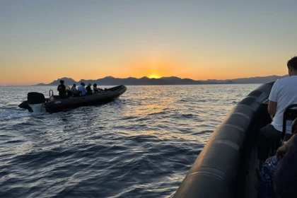 Feuerwerk am Meer in Cannes - Exploregion