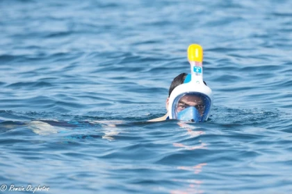 SARDINAUX EVASION - Location de matériel de snorkeling - app.name