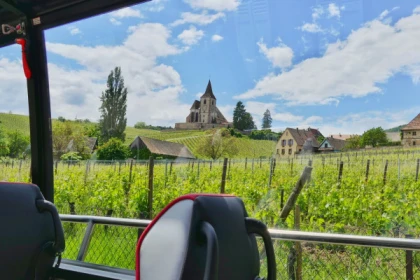Ab Straßburg: "Perles du Vignoble" Tagestour - Exploregion