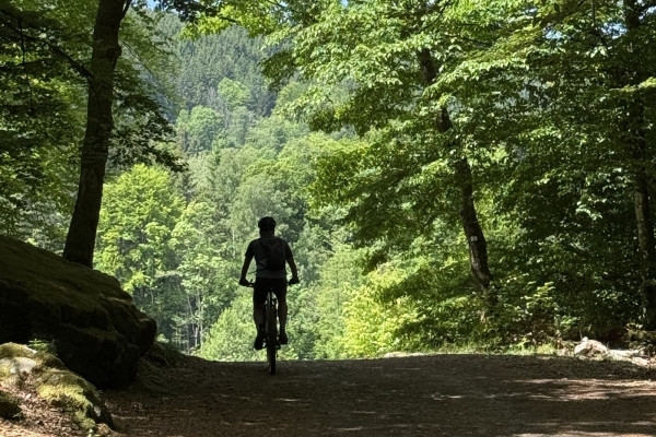5-day gravel holiday in the Hautes Vosges - Exploregion