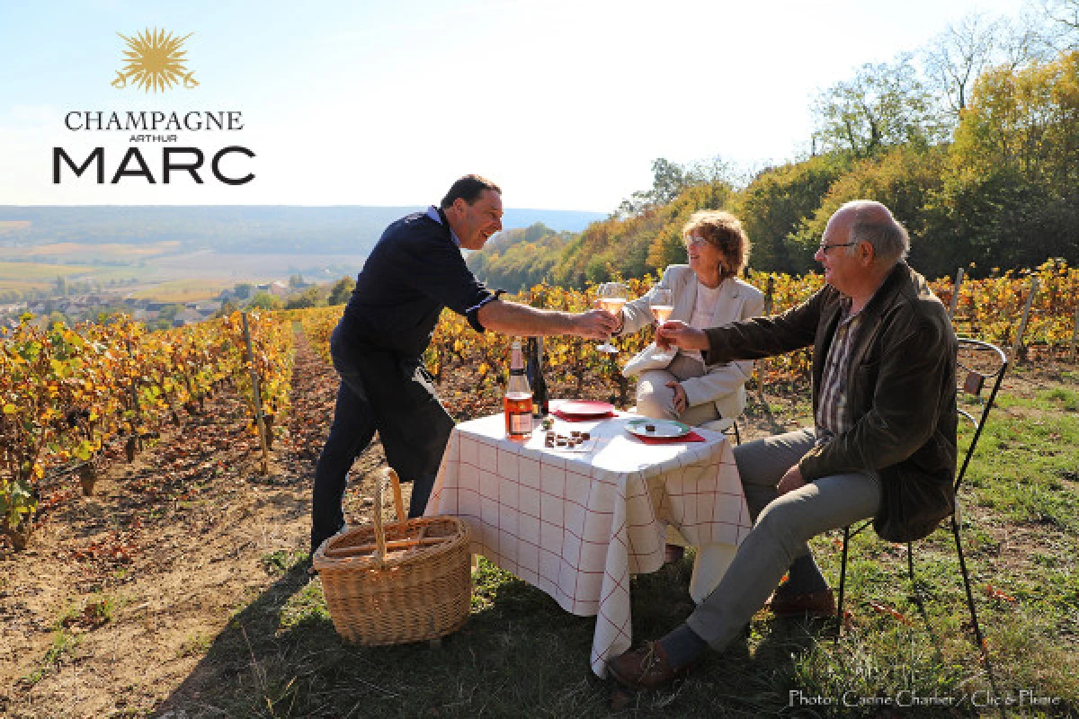 A unique sensory experience in the vineyards - Exploregion