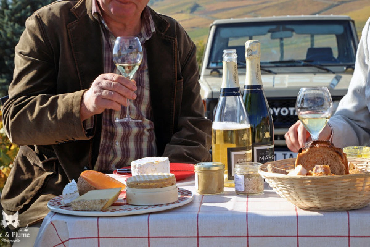 A unique sensory experience in the vineyards - Exploregion