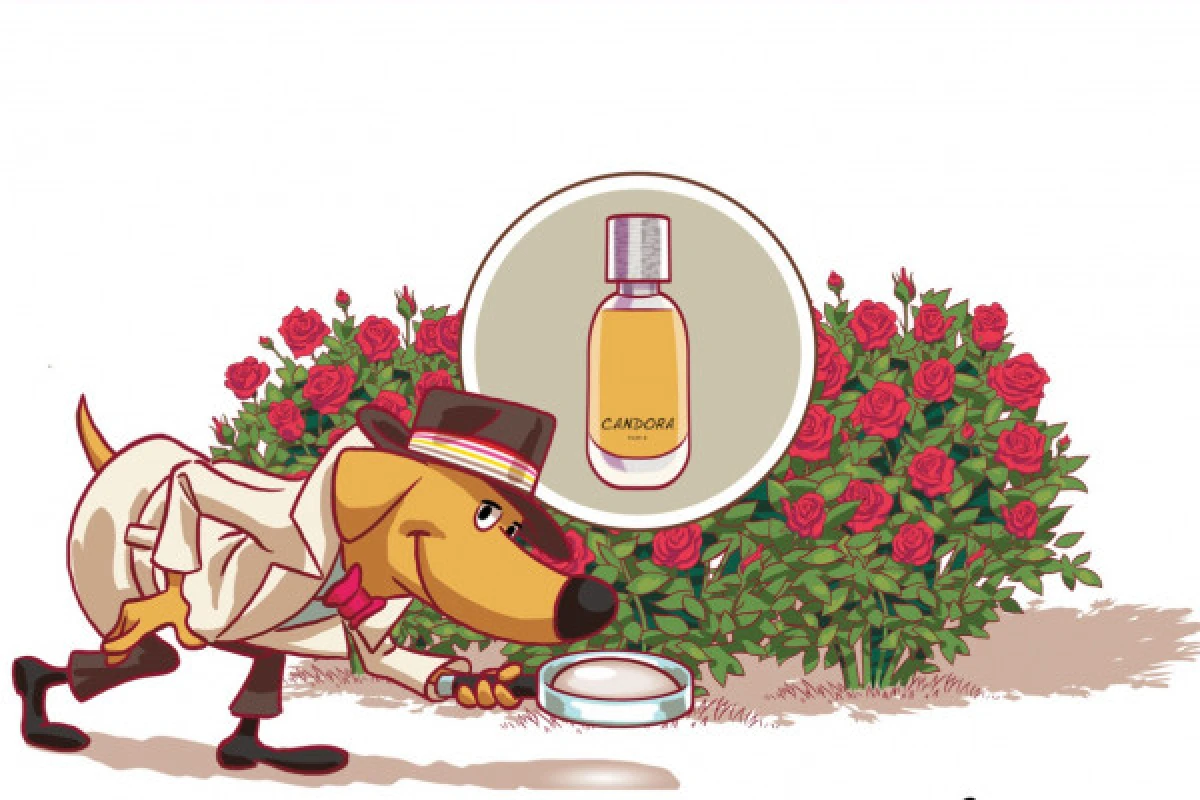 COPY Perfume workshop for families - Exploregion