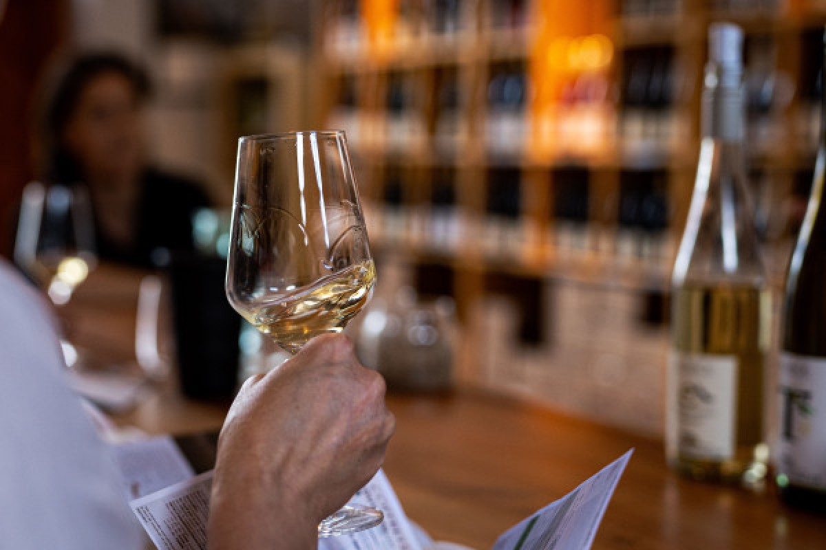 Sensory Workshop : Learn to taste the Wine ! - Exploregion