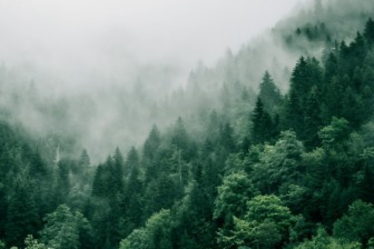 Waldbaden - Exploregion