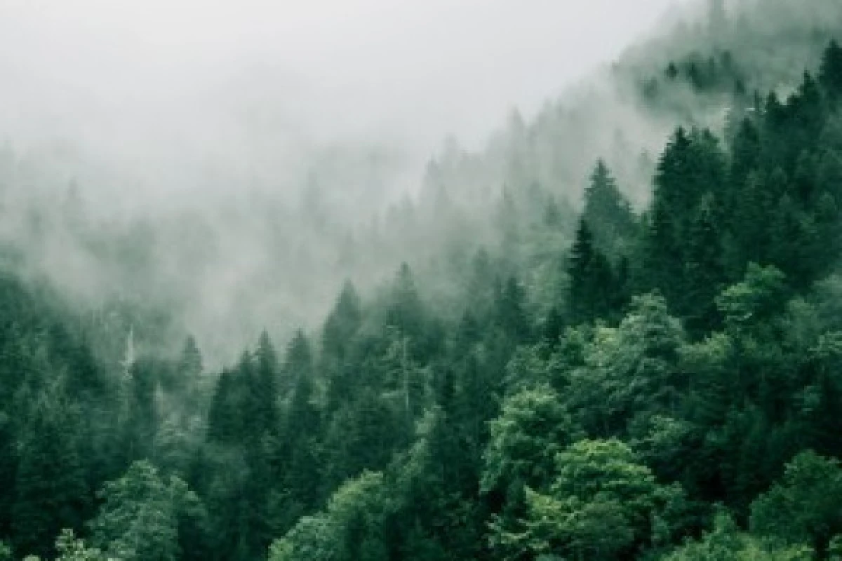 Waldbaden - Exploregion