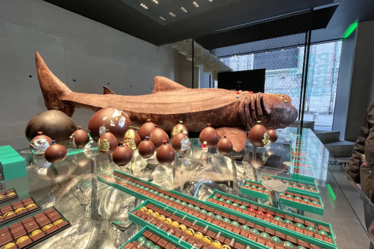 Food Tour in Paris - Chocolate and Pastry Tour - Exploregion