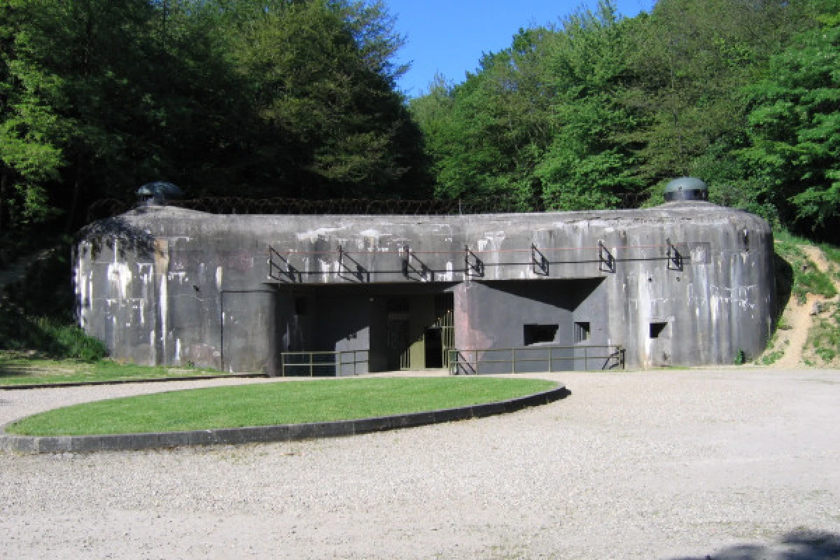 Eintrittskarte für die Maginot-Linie "Fort de Schoenenbourg" - Exploregion