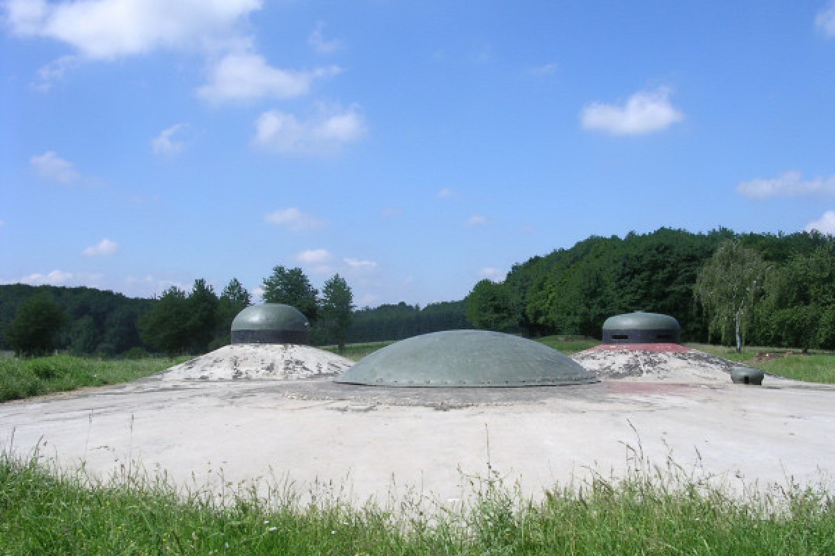 Eintrittskarte für die Maginot-Linie "Fort de Schoenenbourg" - Exploregion
