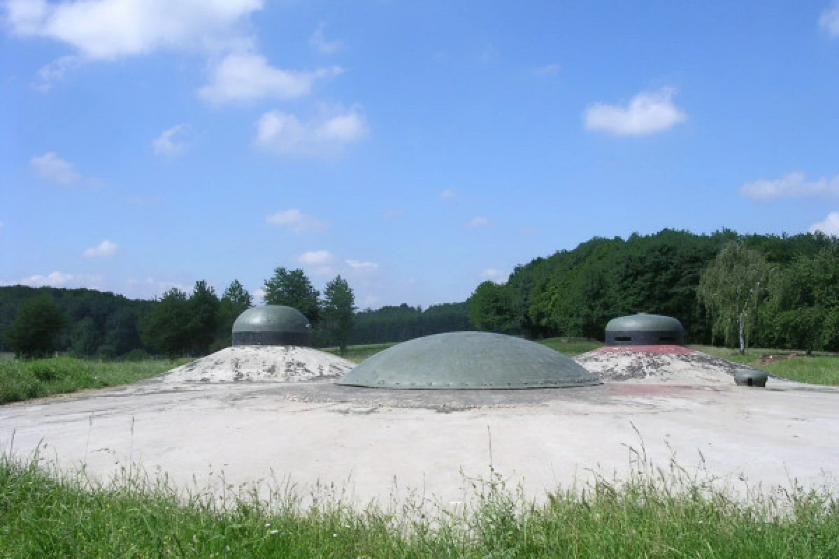 Eintrittskarte für die Maginot-Linie "Fort de Schoenenbourg" - Exploregion