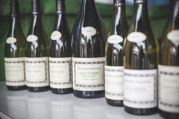 Chablis tasting at Domaine Clotilde Davenne in English - Exploregion
