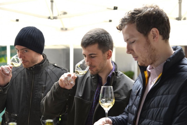 Chablis tasting at Domaine Clotilde Davenne in English - Exploregion