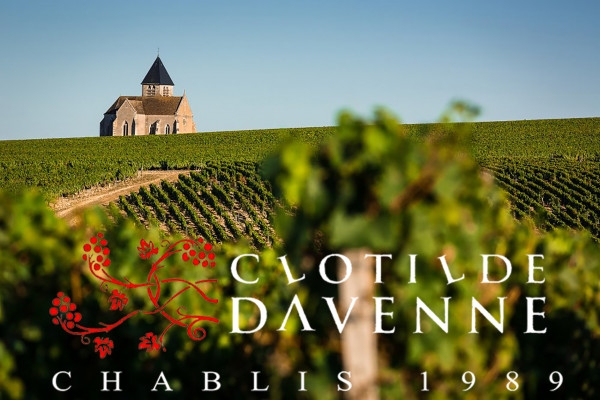 Chablis tasting at Domaine Clotilde Davenne in English - Exploregion