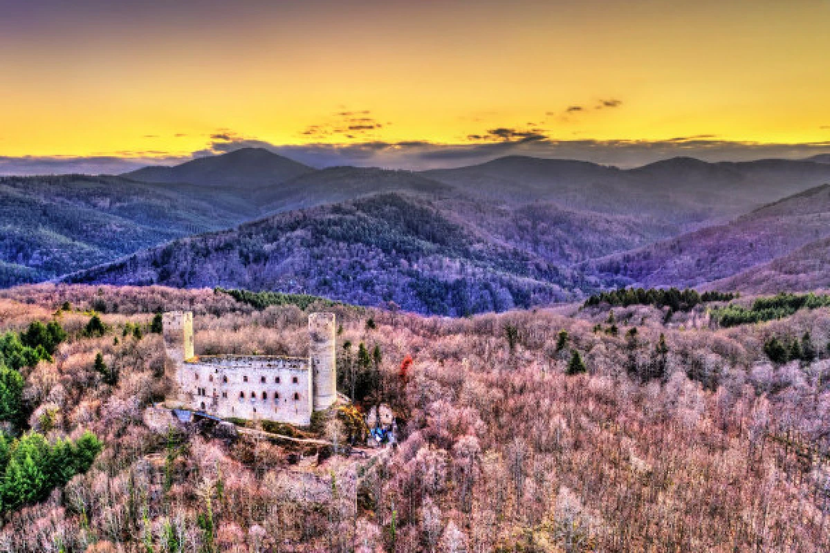 DIGITAL TREASURE HUNT IN ANDLAU - Exploregion