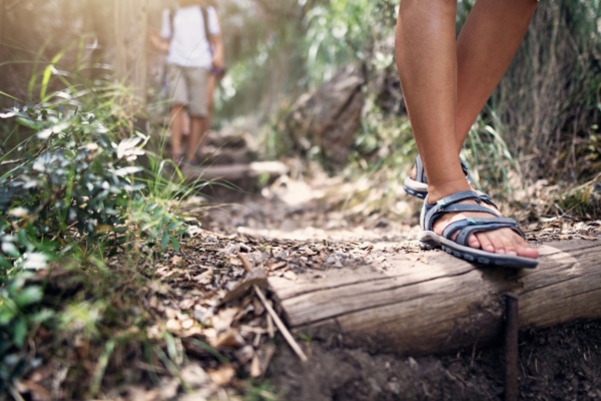 DIGITALE SCHNITZELJAGD ZU FUSS ODER MIT DEM FAHRRAD - Exploregion