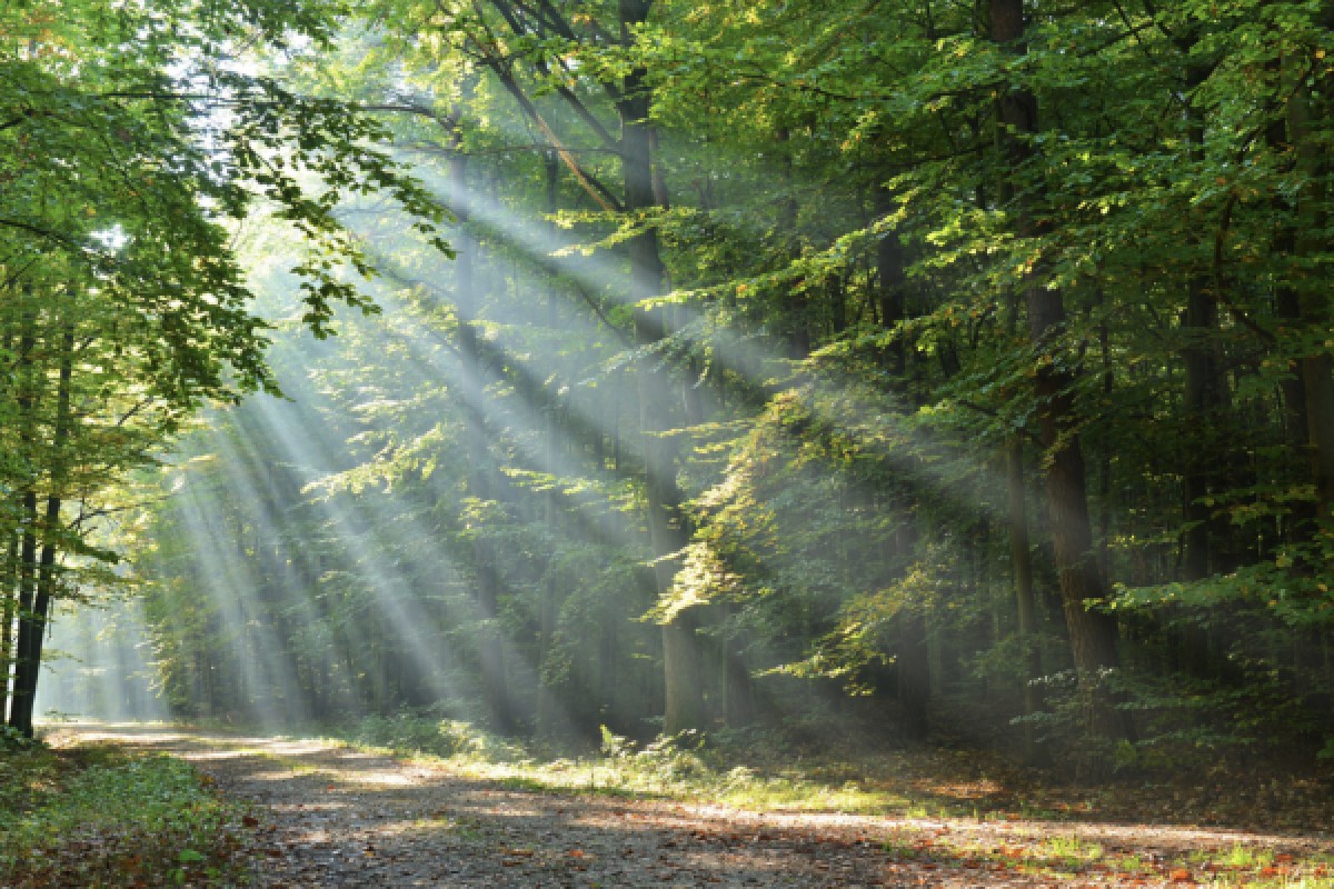 DIGITALE SCHNITZELJAGD ZU FUSS ODER MIT DEM FAHRRAD - Exploregion