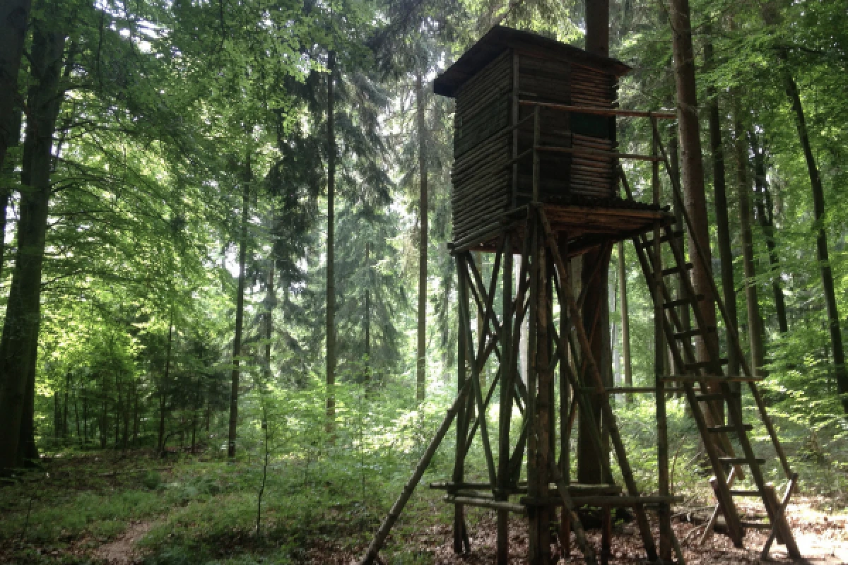 DIGITALE SCHNITZELJAGD ZU FUSS ODER MIT DEM FAHRRAD - Exploregion