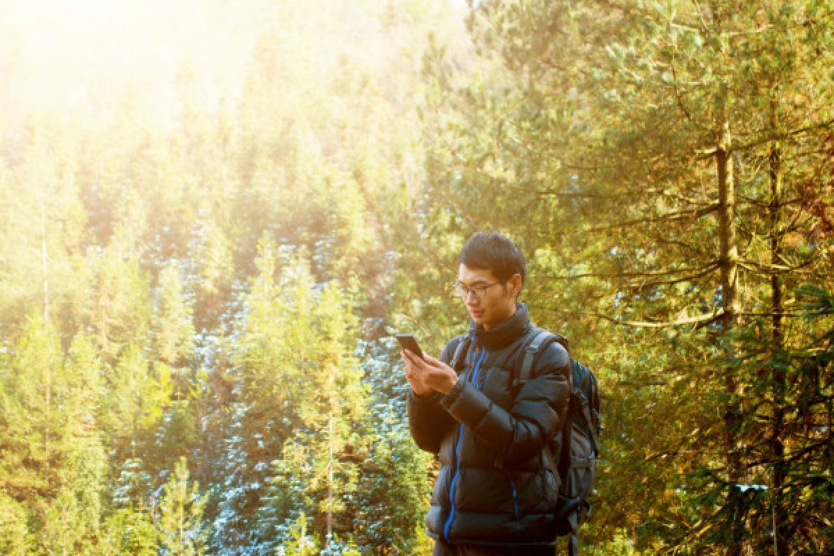 DIGITAL TREASURE WINTZENHEIM (BY FOOT) - Exploregion