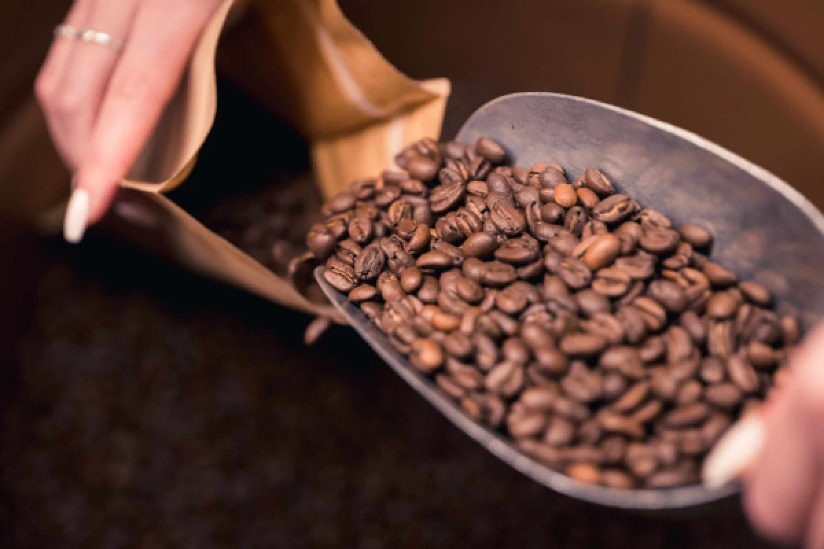 Coffee roaster for a day - Exploregion