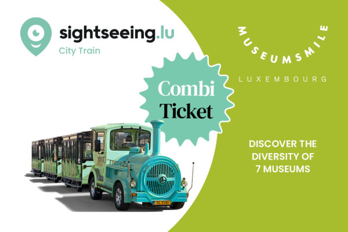 Kombi: Kleine Zug in der Altstadt & Museumspass - Exploregion