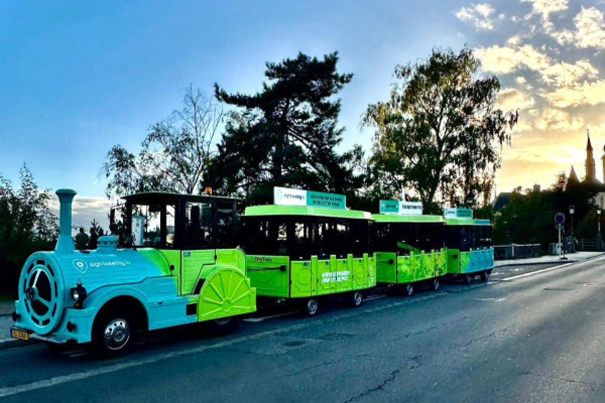 Kombi: Kleine Zug in der Altstadt & Museumspass - Exploregion