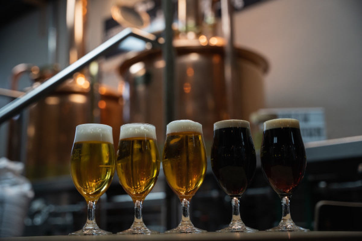 Braukurse - De Brauatelier (Max. 15 Leute) - Exploregion