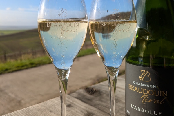 Tasting of 3 vintages in the vineyard - Nogent l'Abbesse - Exploregion