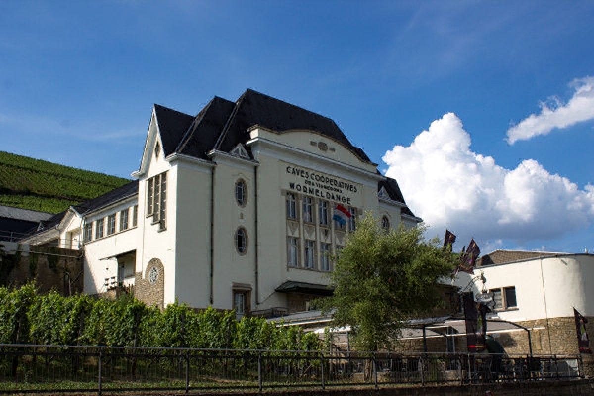 Weinverkostung - Caves des Crémants POLL-FABAIRE - Exploregion