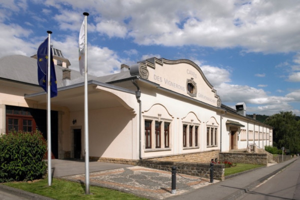 Weinverkostung - Caves des Vignerons de Grevenmacher - Exploregion