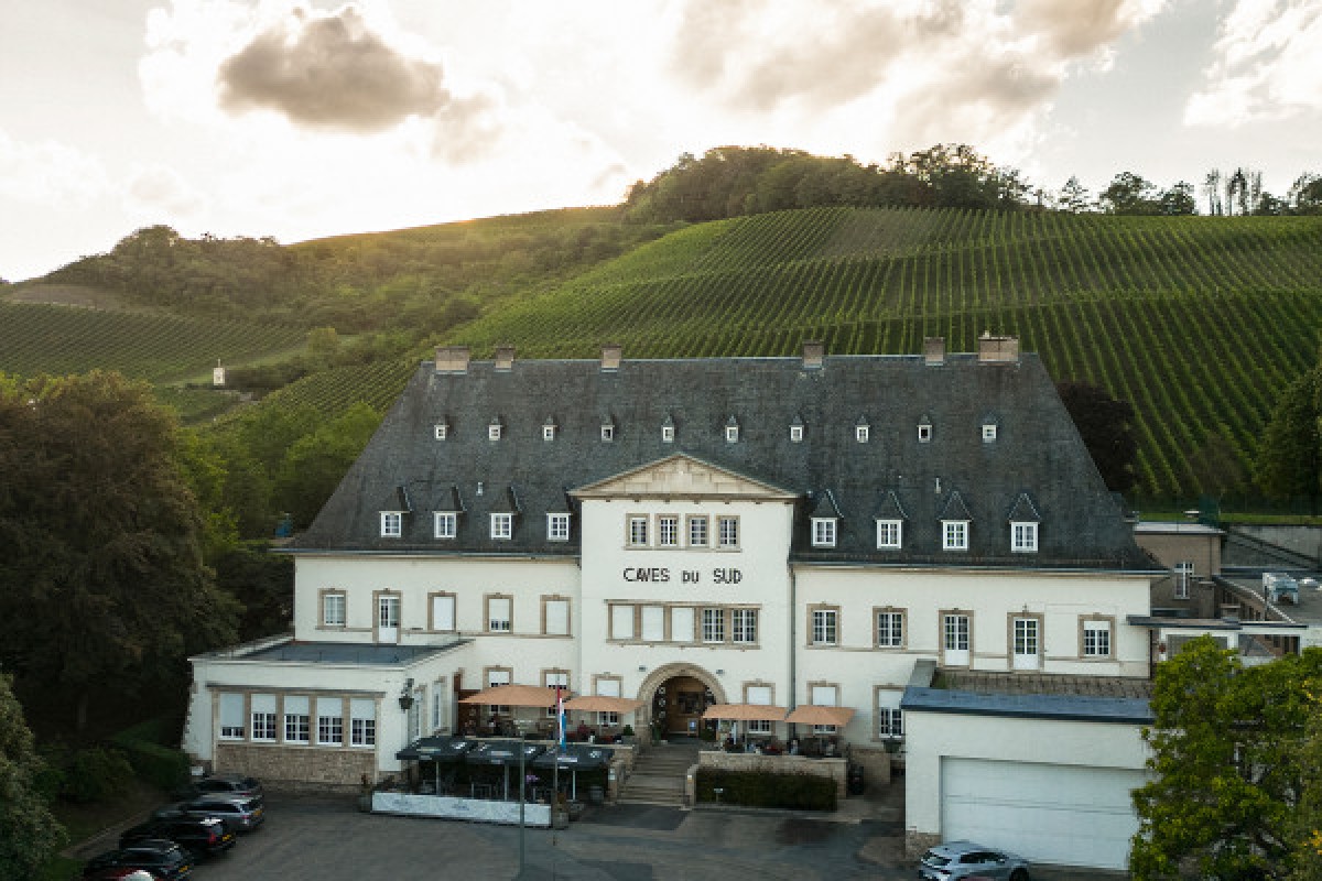 Weinverkostung - Caves du Sud in Remerschen - Exploregion
