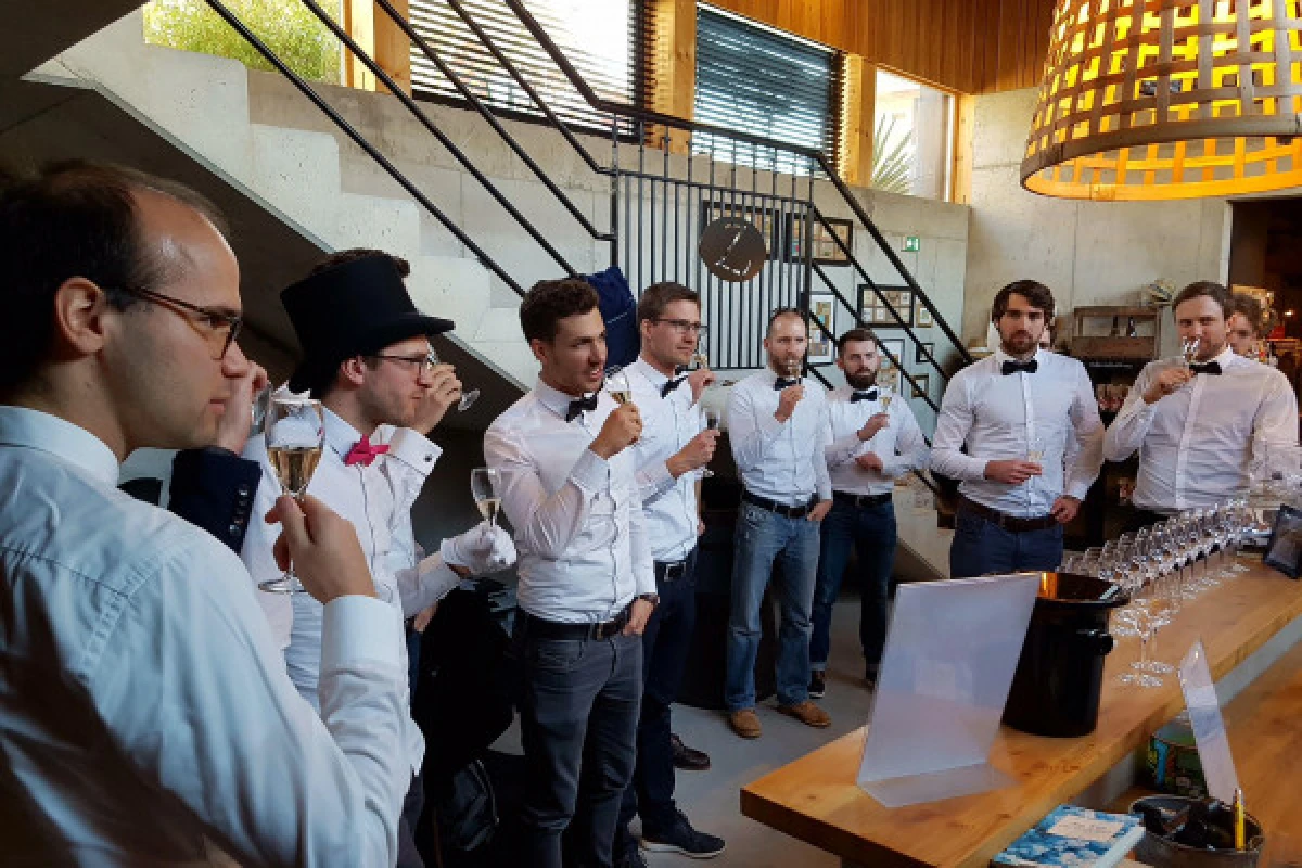 Wine tasting and immersive cellar tour - Exploregion Wine tasting and immersive cellar tour - Exploregion