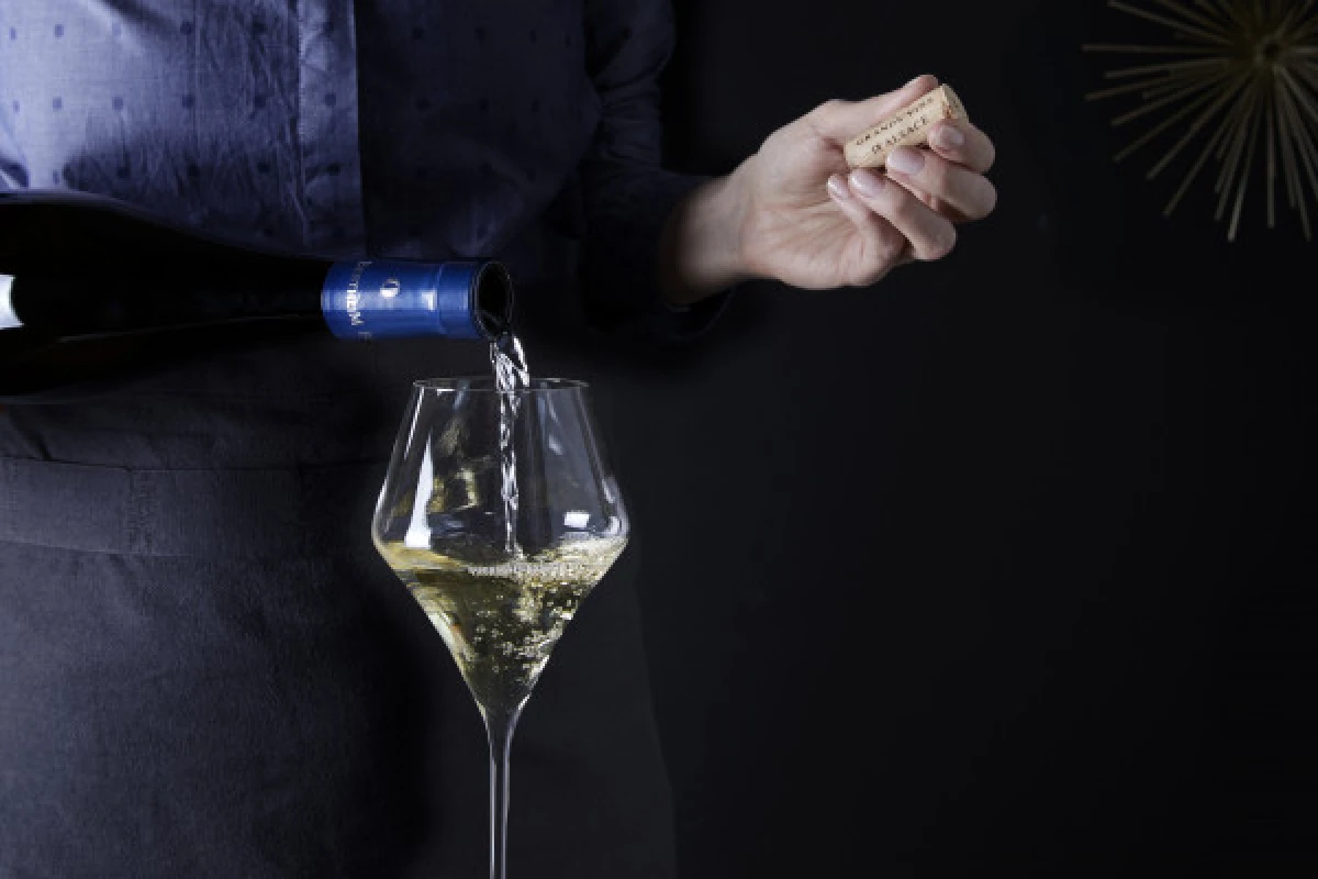 Tasting of 6 wines - Exploregion